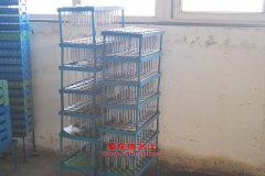 遠威SXQ5160GSL清洗掃路車用的康明斯ISDe185 30發動機的配件及維修