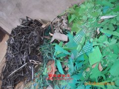 五洲龍FDG6110DC3客車用的玉柴YC6G240-30發動機的保養及配件